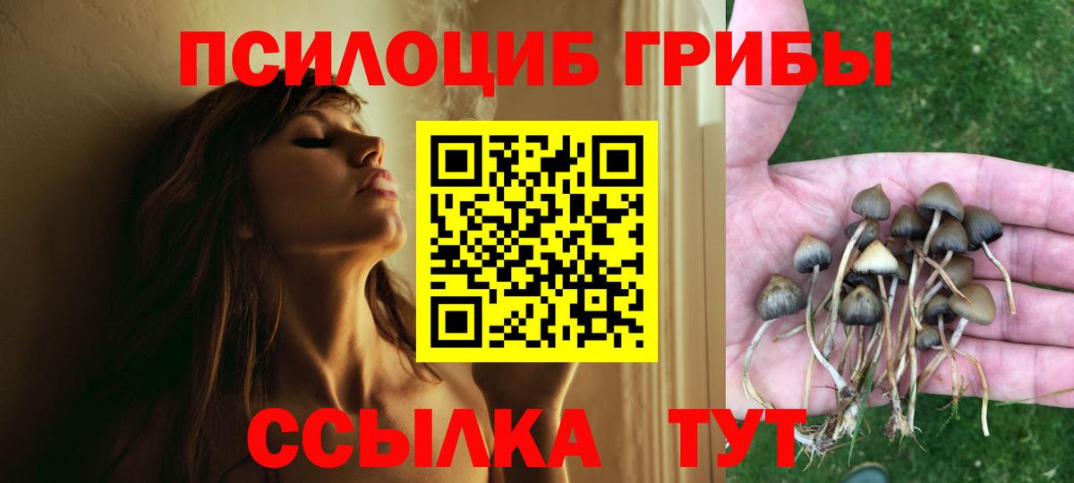Псилоцибиновые грибы MAGIC MUSHROOMS Губкинский